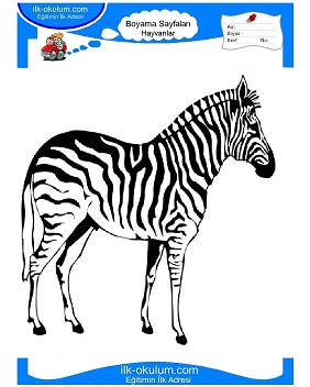 Çocuklar İçin Zebra Boyama Sayfaları 